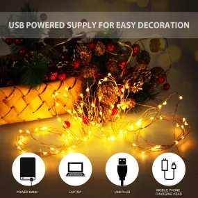 10M 100 LEDs USB Copper Wire Christmas Decoration String Light