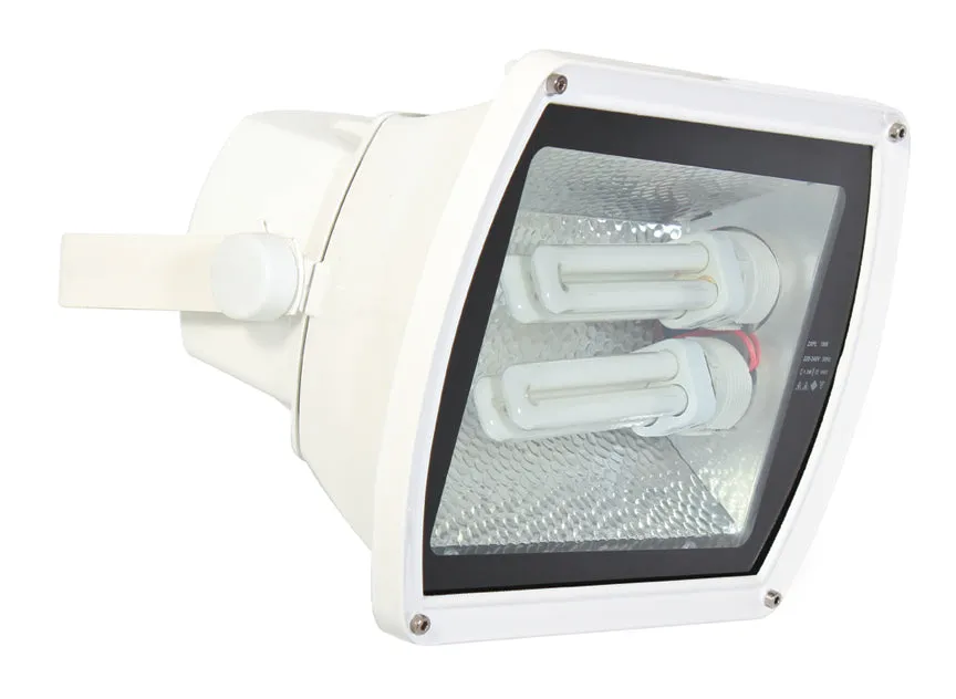 2 X PL18 FLOODLIGHT WHITE