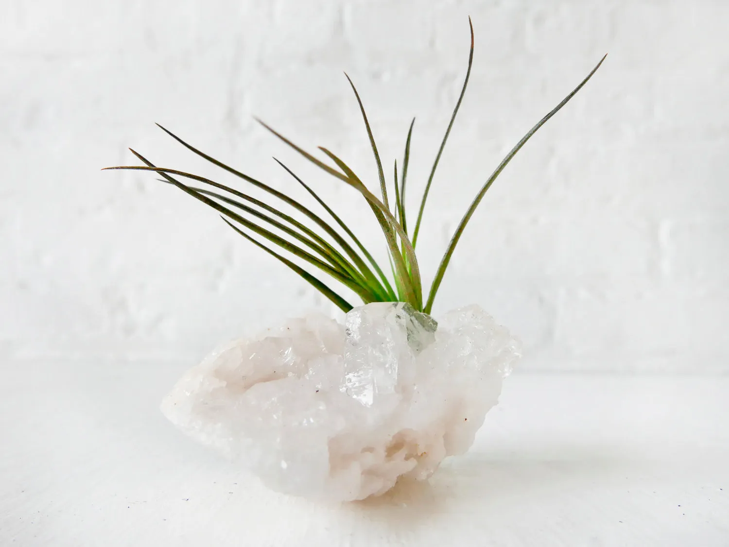 Crystal Quartz Air Plant Garden - Home Garden Crystal Terrarium