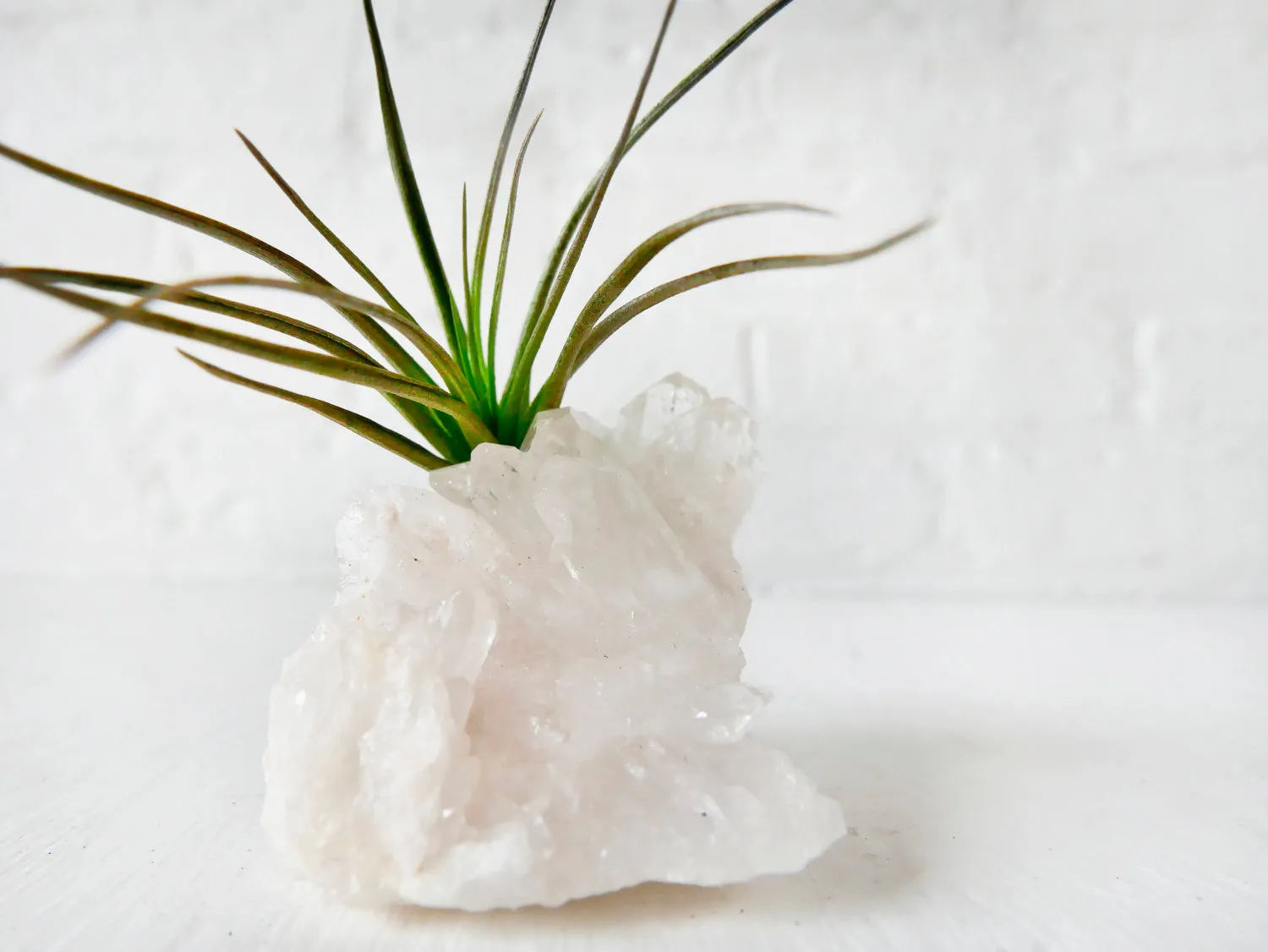 Crystal Quartz Air Plant Garden - Home Garden Crystal Terrarium