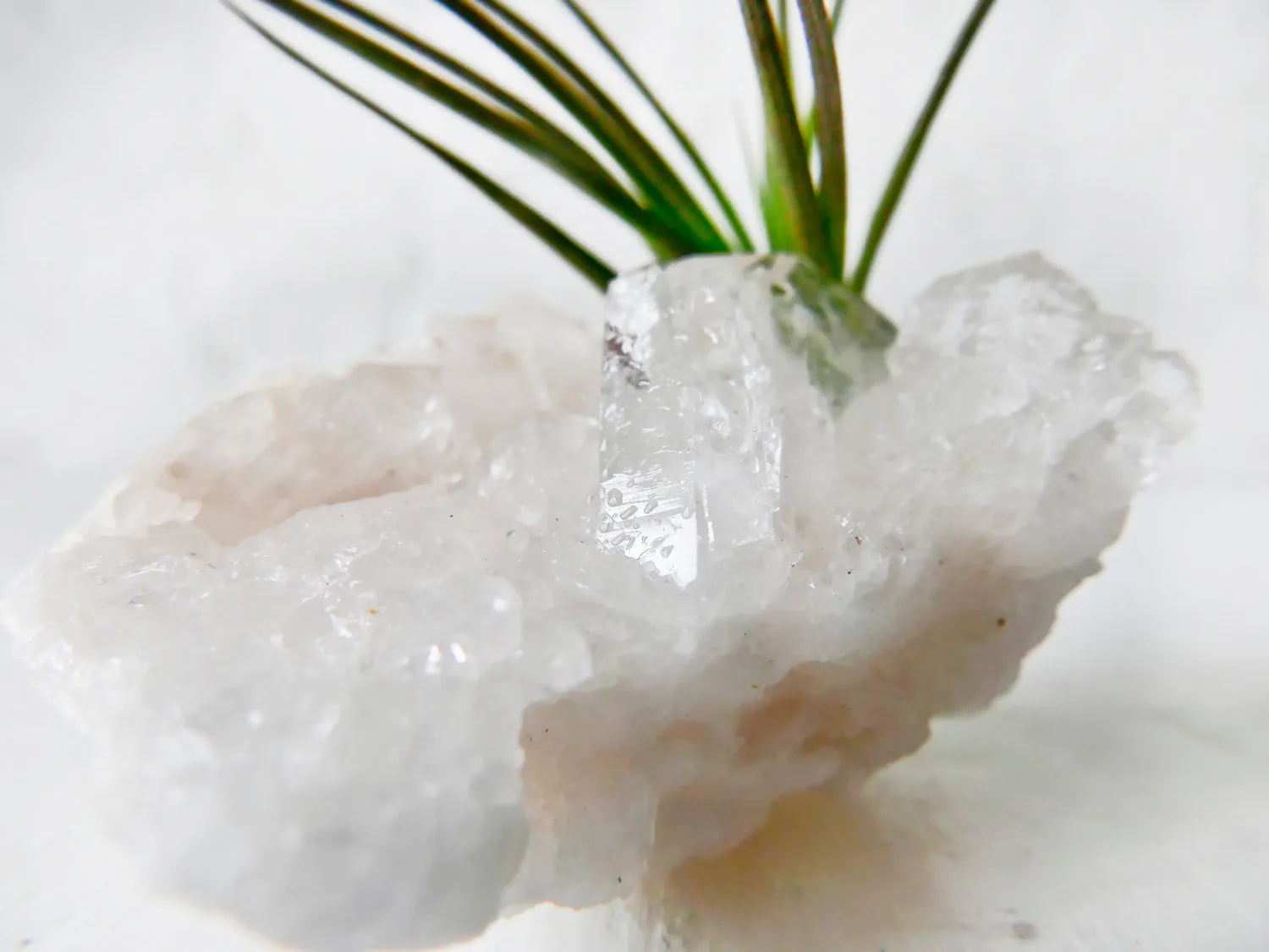 Crystal Quartz Air Plant Garden - Home Garden Crystal Terrarium