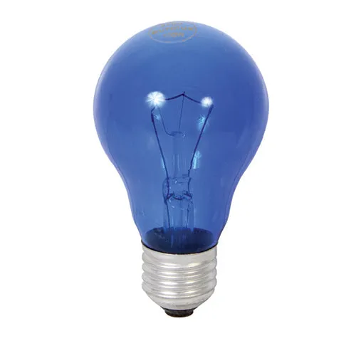 DAYLIGHT BLUE 100w E27 240V