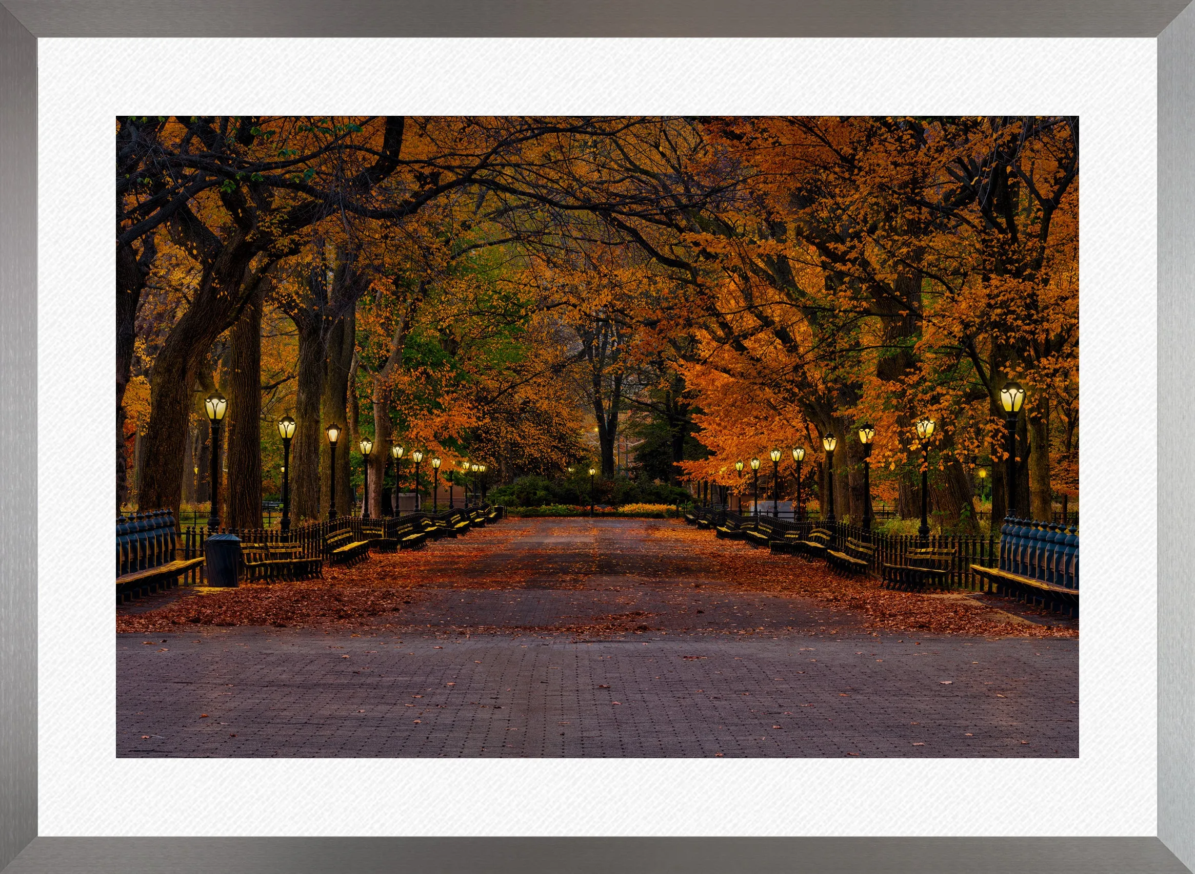 Evening in the Park