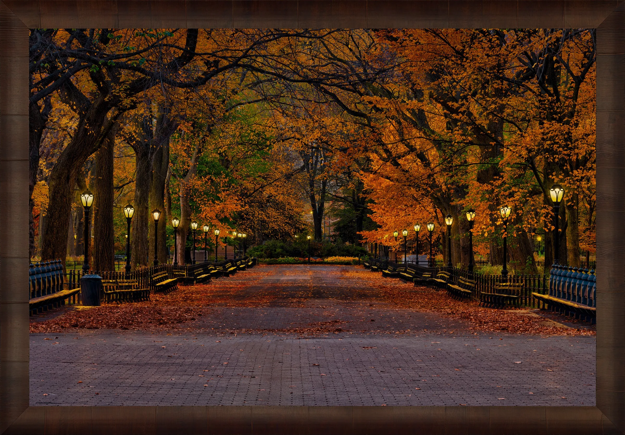 Evening in the Park