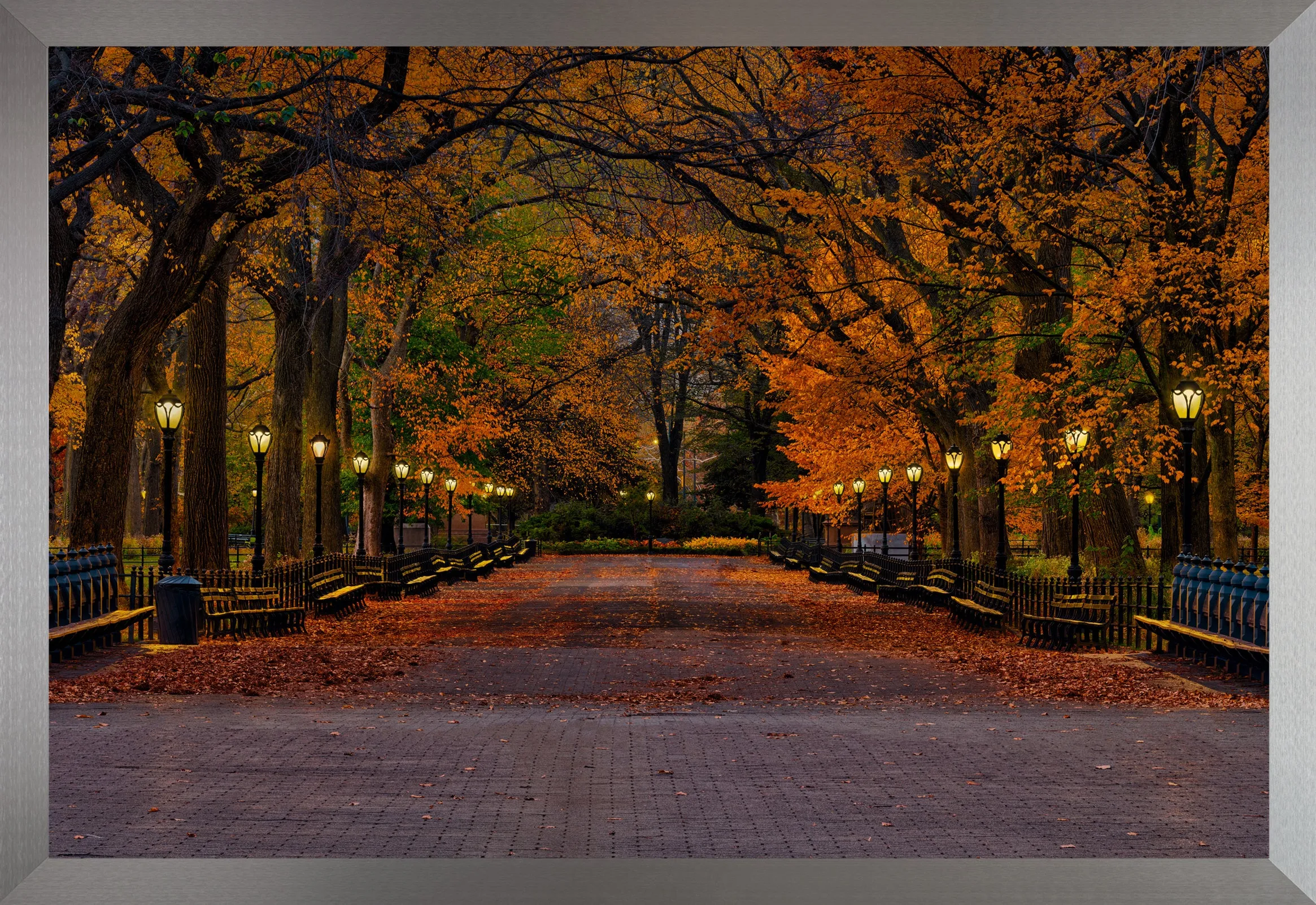 Evening in the Park