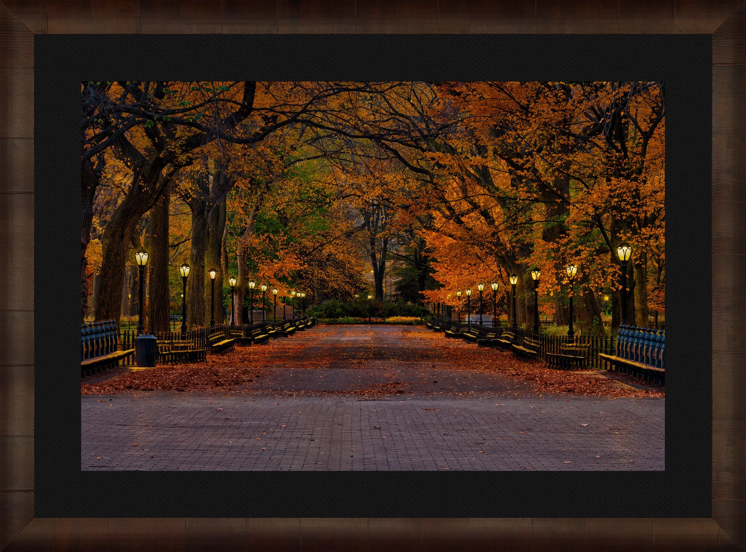 Evening in the Park