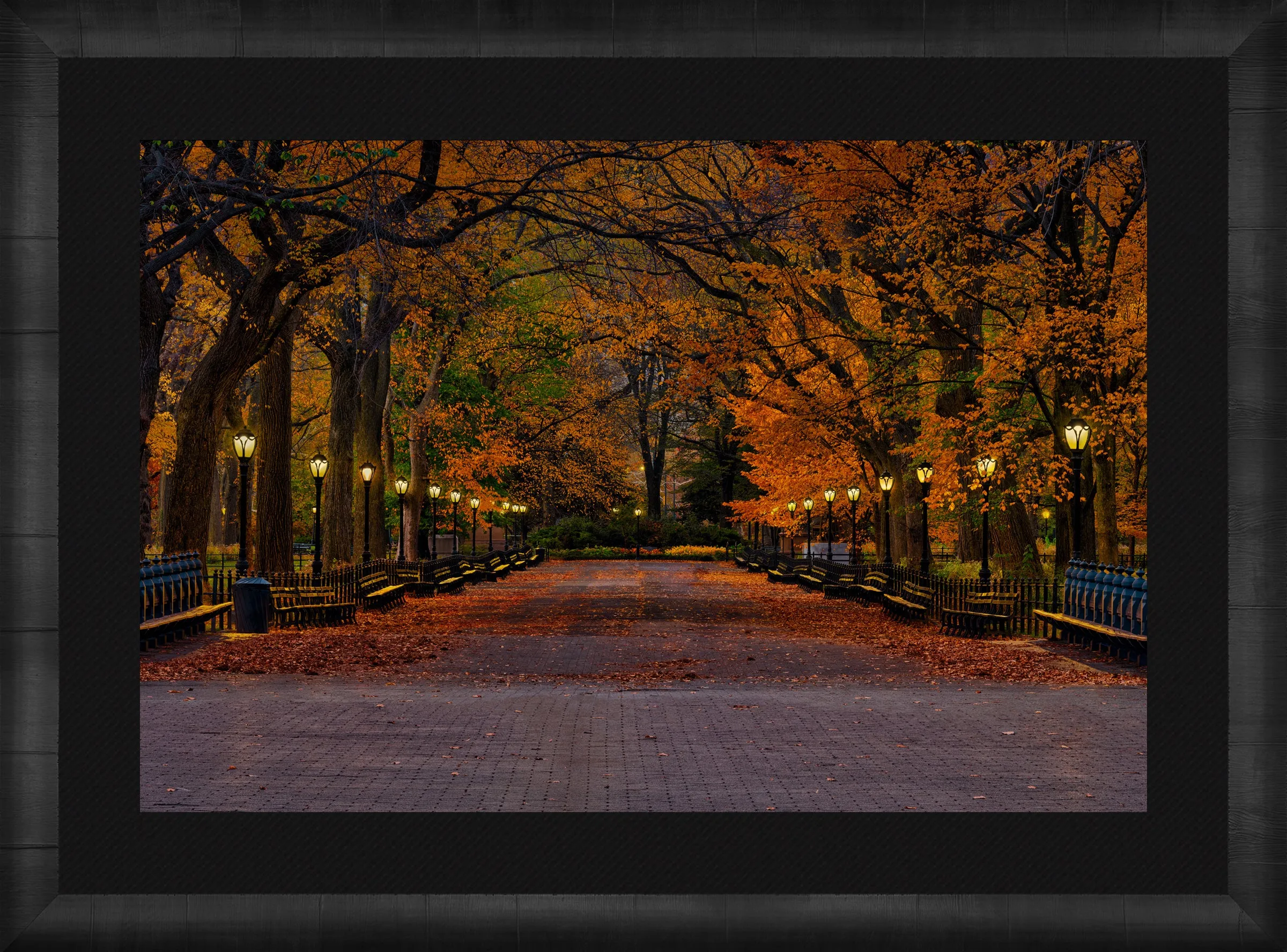 Evening in the Park