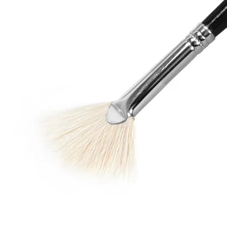 Fan paintbrush with white bristles