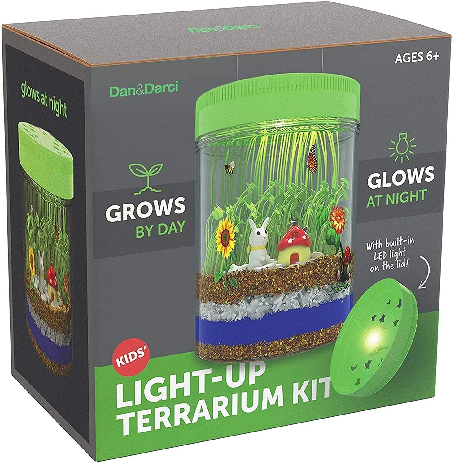 LIGHT-UP TERRARIUM KIT FOR KIDS by Surreal Brands