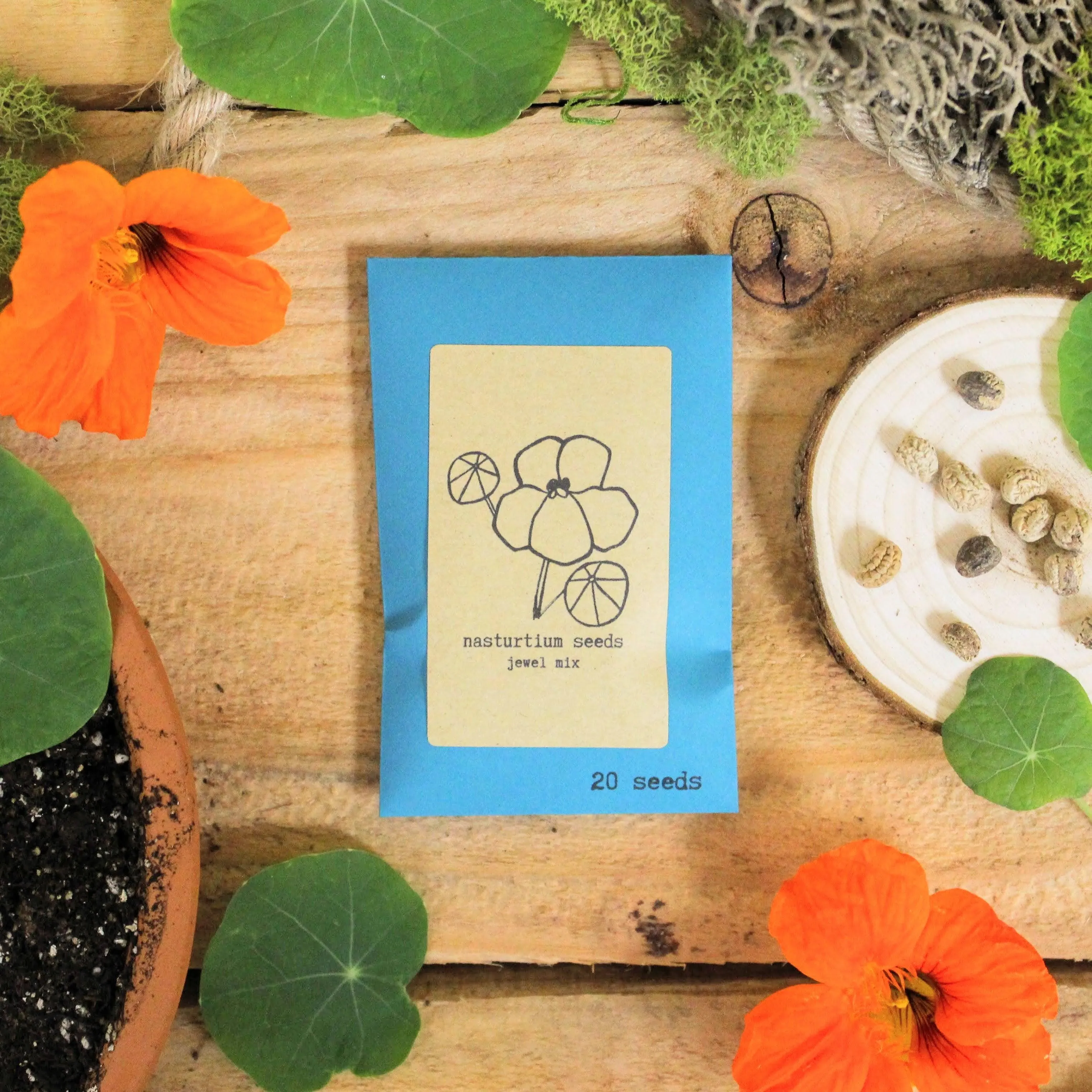 "Grow a Flower Garden" Indoor Blooms Seed Kit