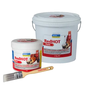 Red Hot Paste with Brush