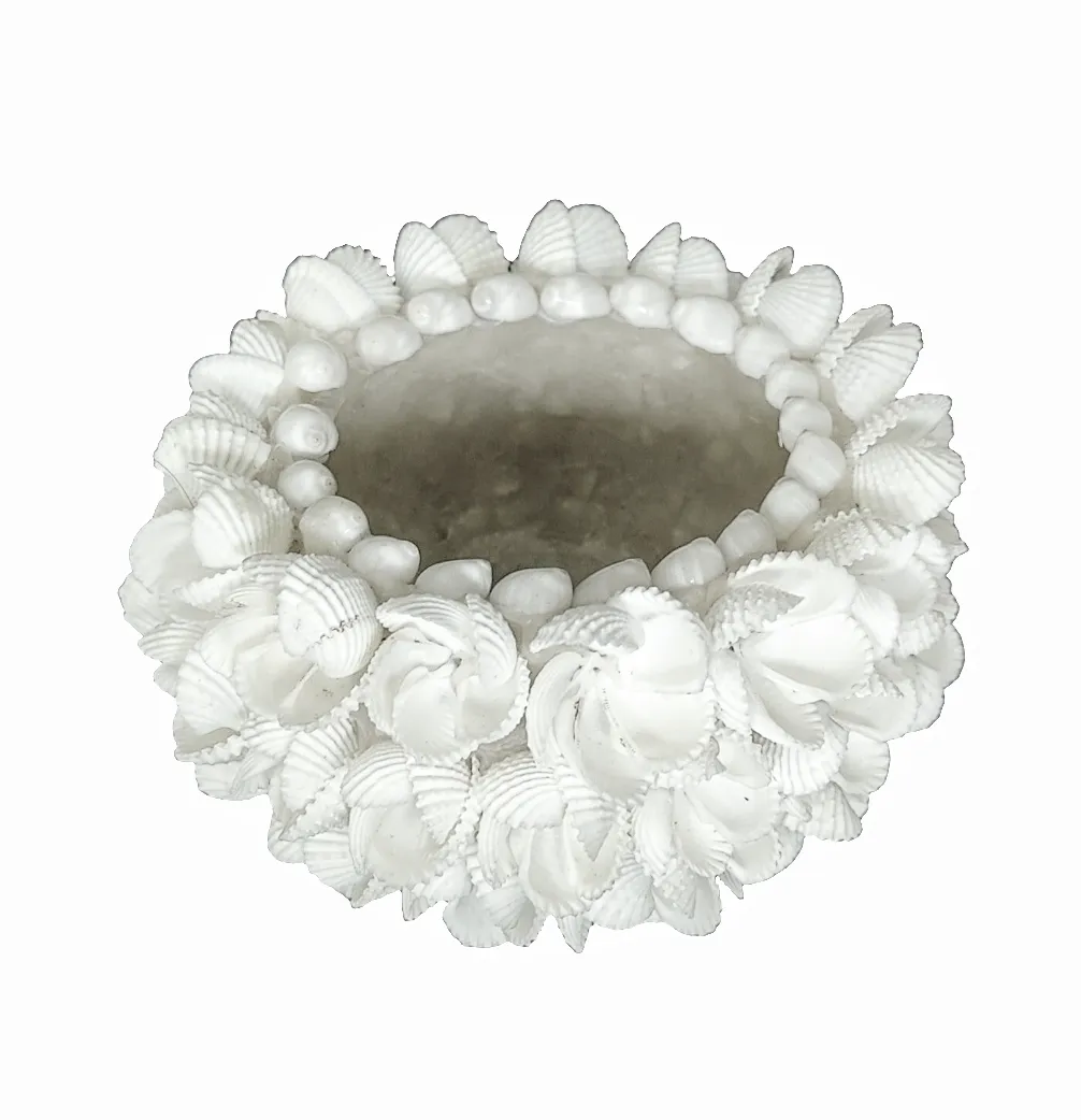 Table Decor Lighting: 
Bowl Shaped Natural Sea shells Tea Light Holder.