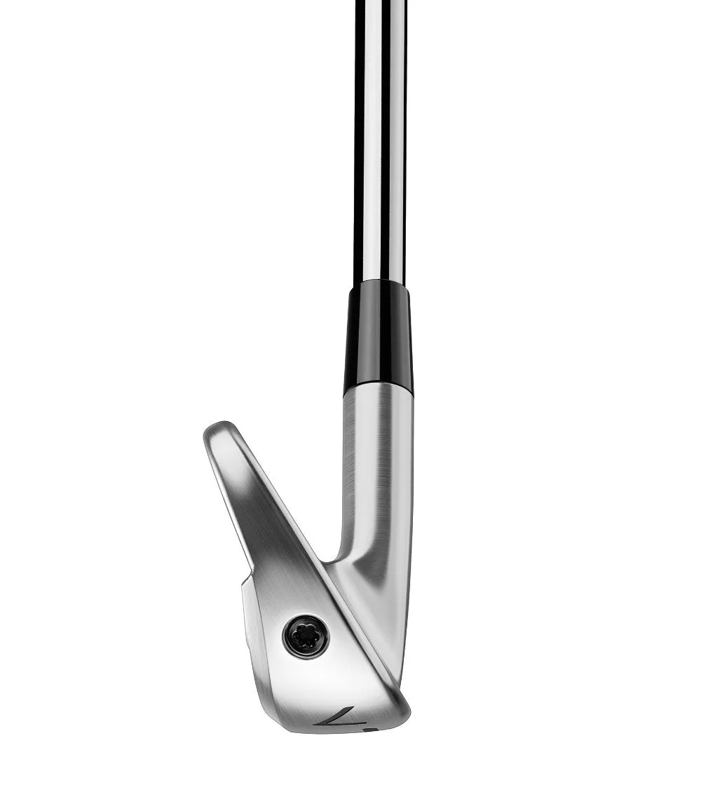 TaylorMade P770 Custom Irons