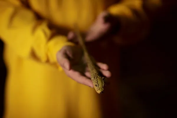 The Hufflepuff Mascot Wand