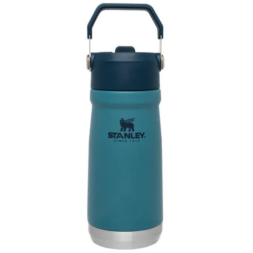 The IceFlow Flip Straw Water Bottle - 17 oz